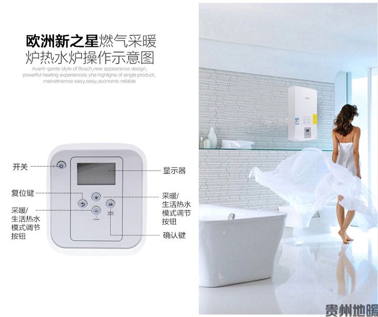 新之星 (4).jpg