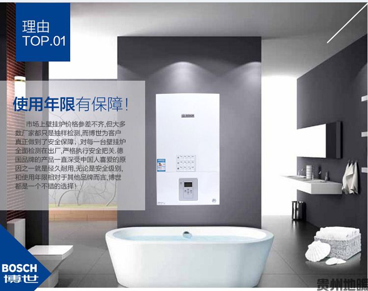 新之星 (8).jpg