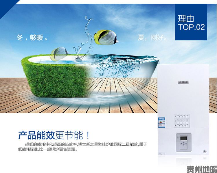 新之星 (9).jpg