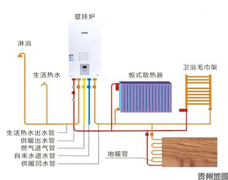 新之星 (16).jpg